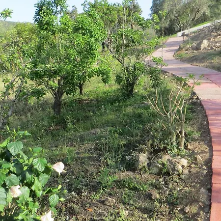 La Calendula Oda ve Kahvaltı San Teodoro (Sardinia)