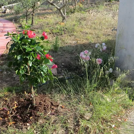 La Calendula Oda ve Kahvaltı 4*