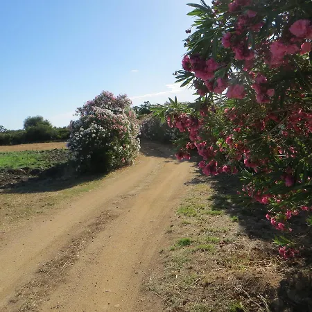 La Calendula 4* San Teodoro (Sardinia)