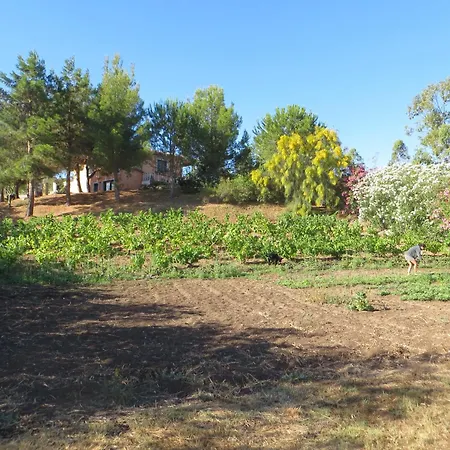 La Calendula 4* サン・テオドーロ