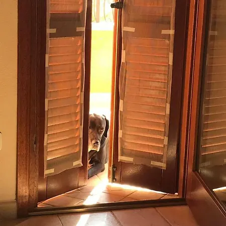 La Calendula ベッド・アンド・ブレックファスト 4*