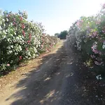 فندق مبيت وإفطار La Calendula 4*