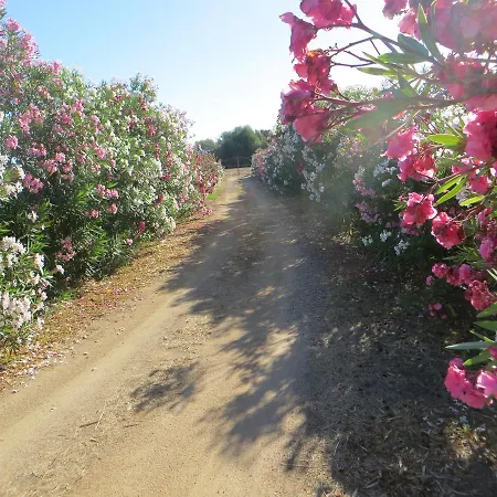 La Calendula 4* San Teodoro (Sardinia)