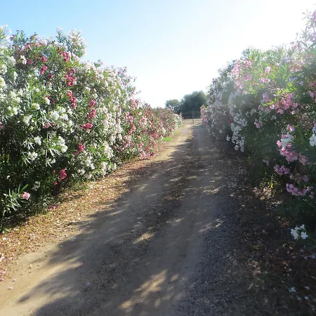 Bed & Breakfast La Calendula 4*