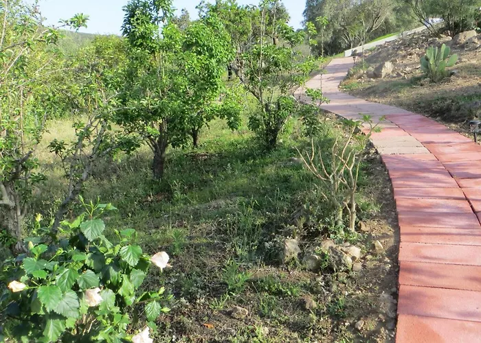 La Calendula Bed and breakfast San Teodoro (Sardinia)