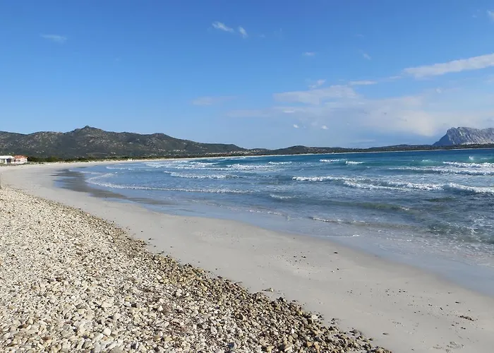 Bed and breakfast La Calendula 4*