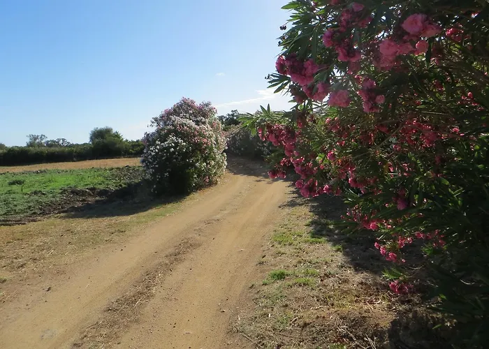 La Calendula 4* San Teodoro (Sardinia)