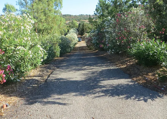La Calendula 4* San Teodoro (Sardinia)