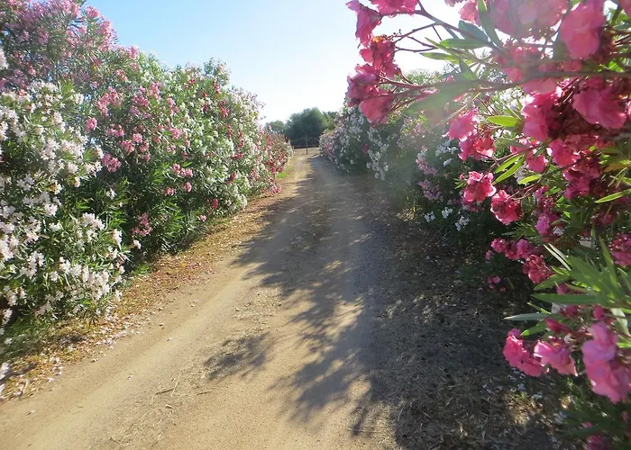 La Calendula 4* San Teodoro (Sardinia)