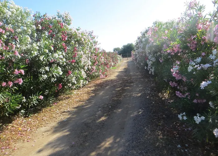 Bed and breakfast La Calendula 4*