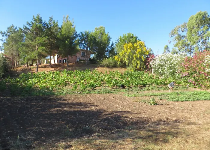 La Calendula 4* San Teodoro (Sardinia)