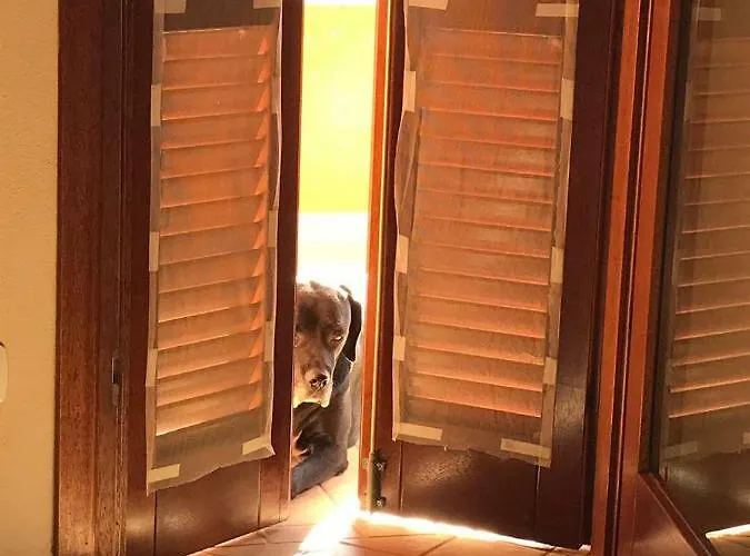 La Calendula Bed & Breakfast 4*